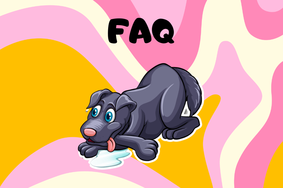 FAQs About Dogs Vomiting Water & Food