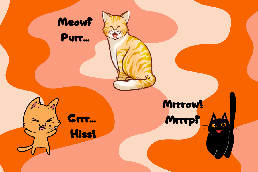 Other Sounds Cats Make: Purring, Yowling, Trilling, and More