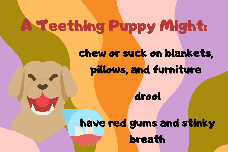 Relieving Pain From Teething