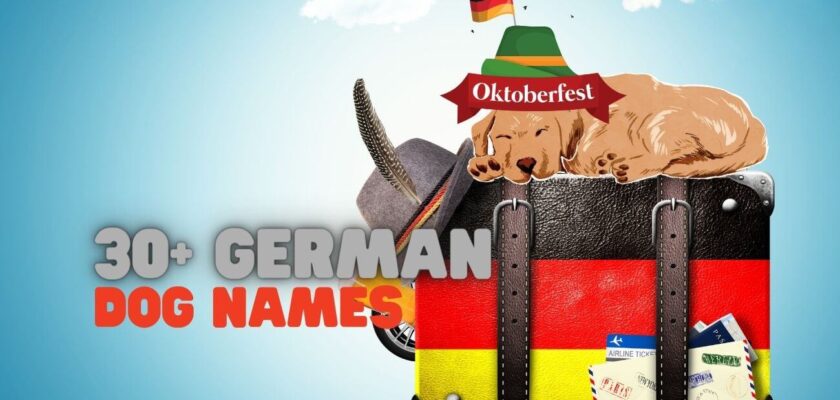 German Dog Names