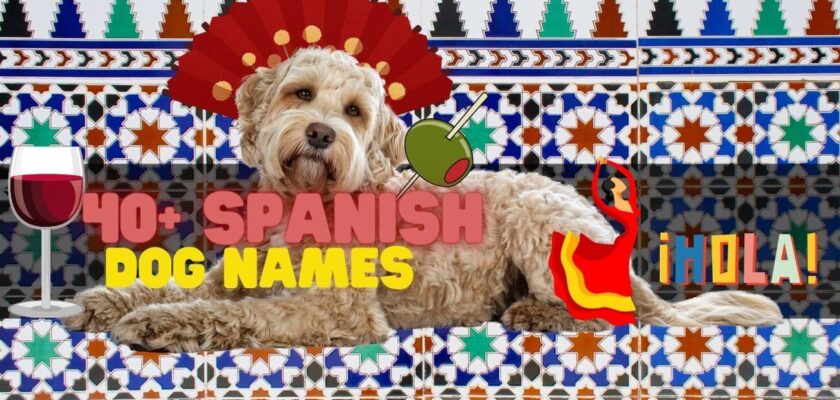 Spanish dog names