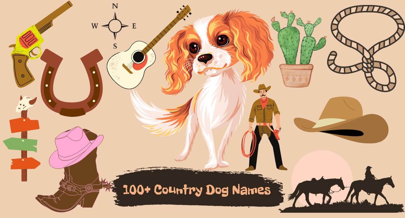 most-popular-dog-names-in-the-usa-dog-names-dog-names-male-cute