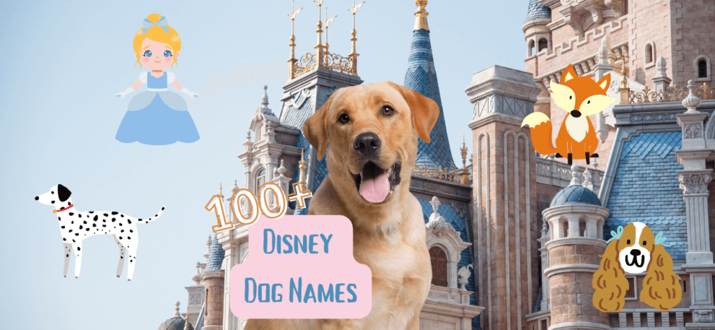 Disney Dog Names – 100+ Ideas For Your Pup - PetsTime