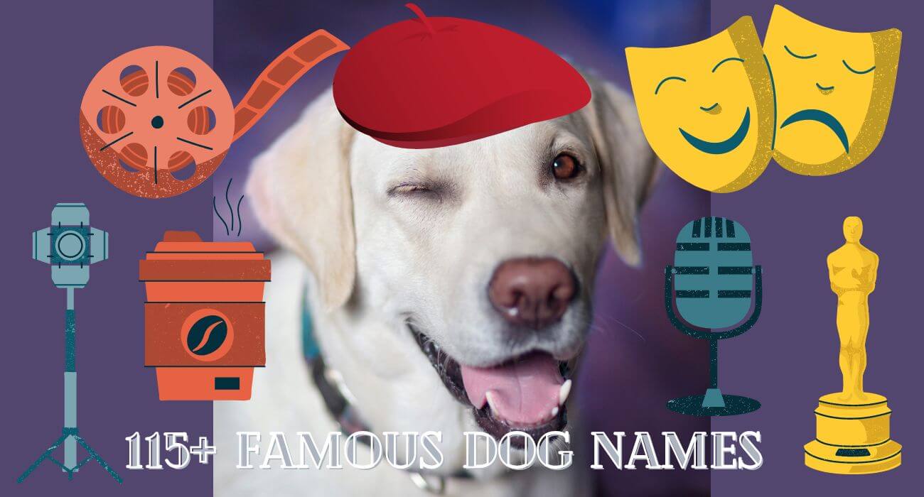 famous-dog-names-top-choices-for-your-pup-petstime