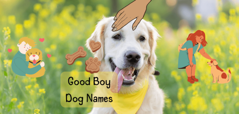 good boy dog names