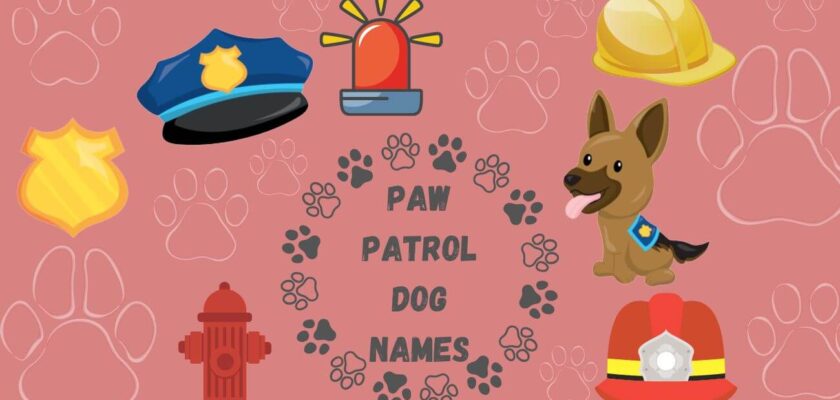 paw patrol dog names