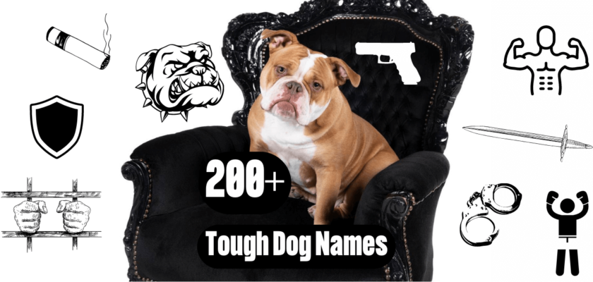 tough dog names
