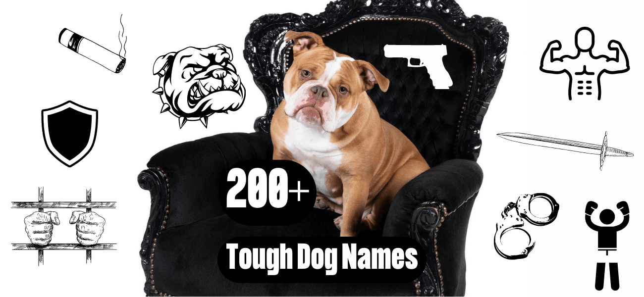 Tough Dog Names 200+ Best Ideas for Your Pup PetsTime