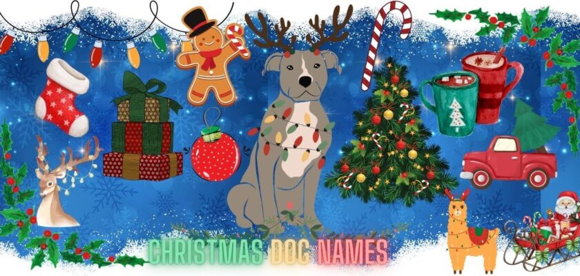 christmas dog names