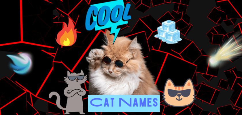 cool cat names