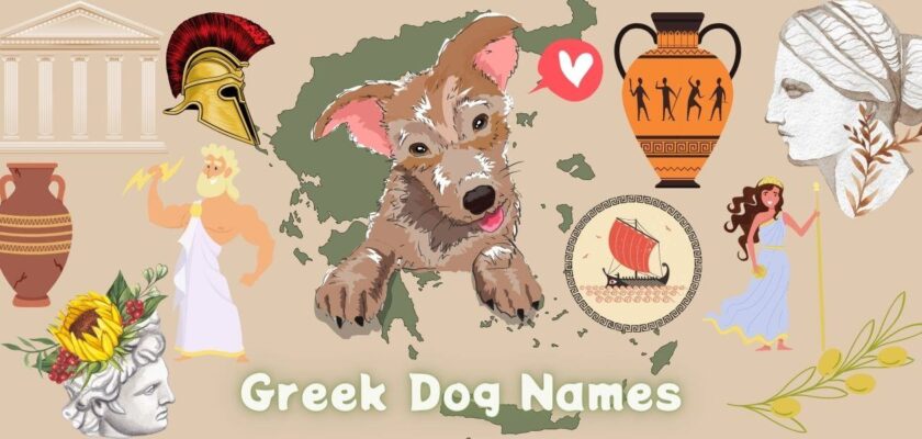 greek dog names