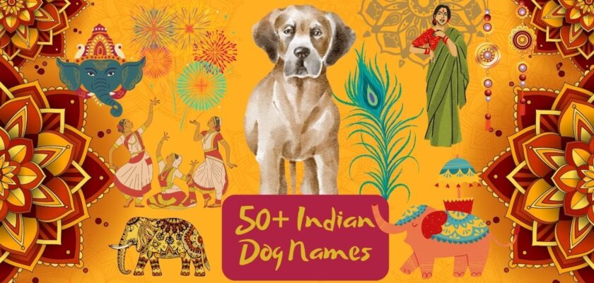 indian dog names