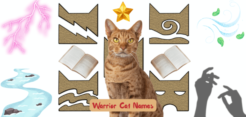 warrior cat names