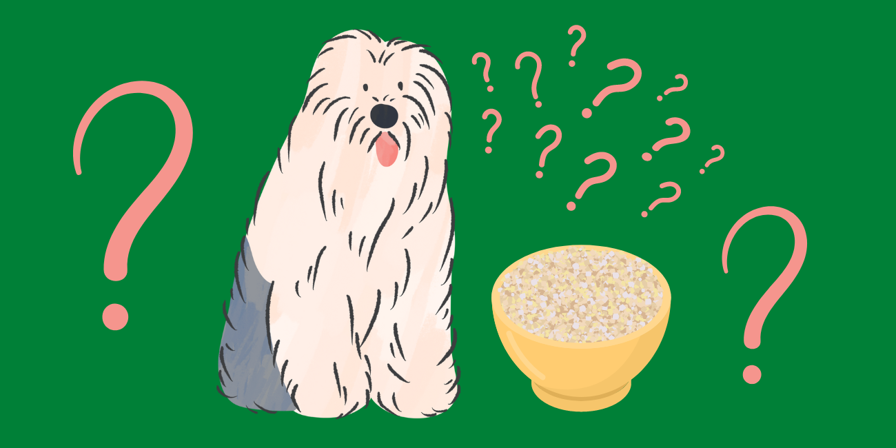 Can Dogs Eat Grits? Are Hominy Grits Safe for Dogs? PetsTime