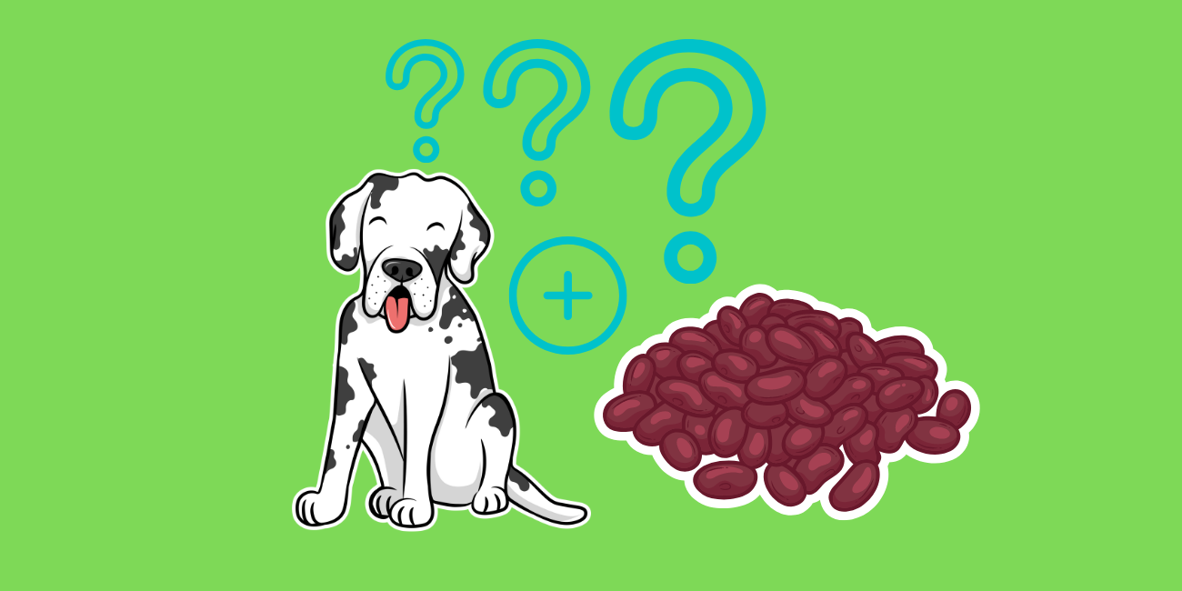 can-dogs-eat-kidney-beans-petstime