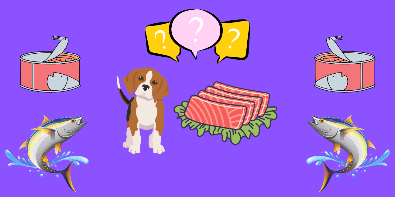 Can dogs eat tuna fish? Canned tuna in dog's diet PetsTime