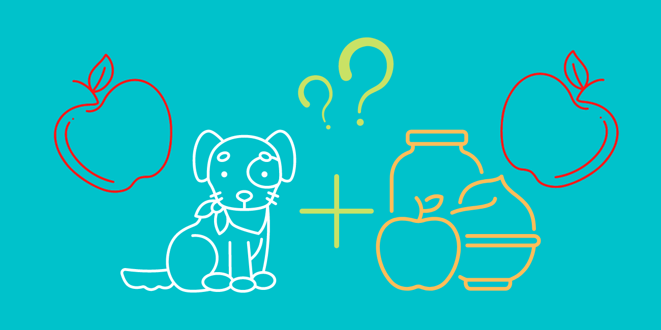 Can Dogs Eat Applesauce? PetsTime