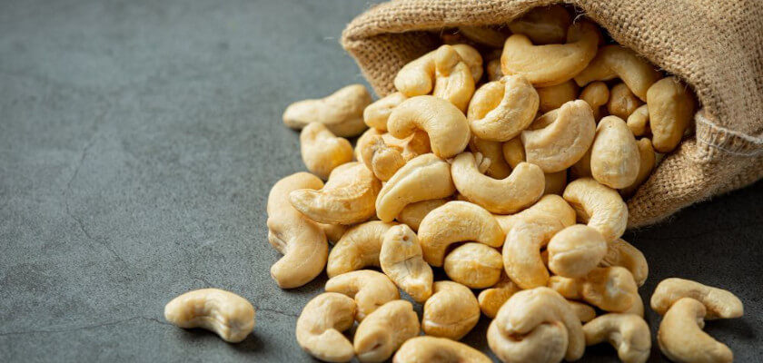 can dogs eat cashews