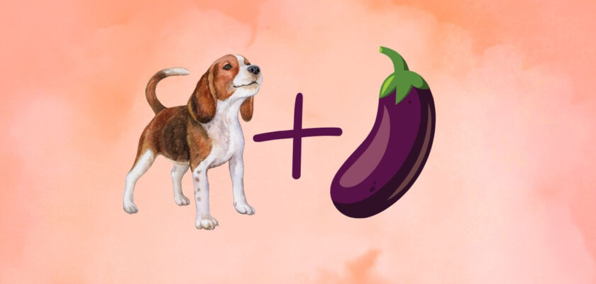 can dogs eat eggplant