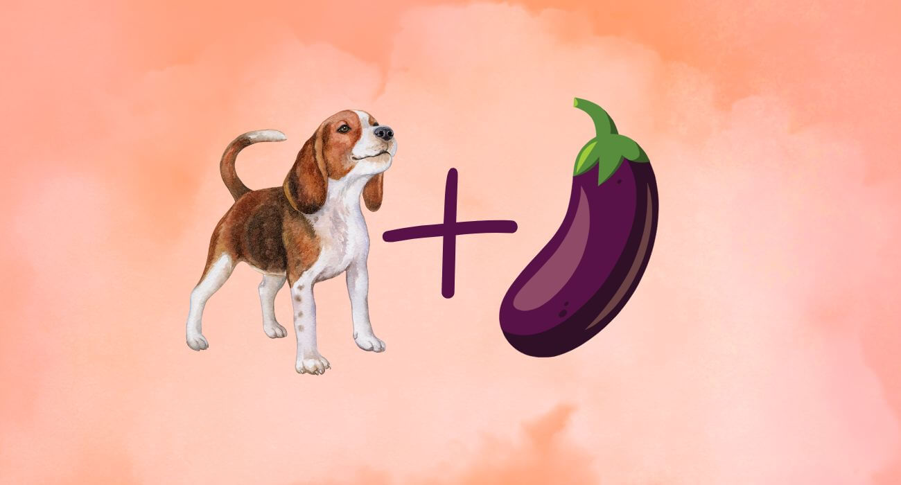 are eggplant leaves poisonous to dogs