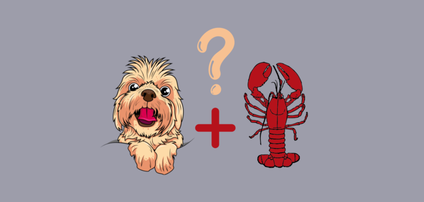 can dogs eat lobster