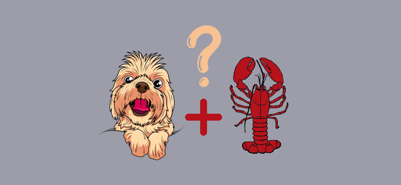 Can Dogs Eat Lobster? PetsTime