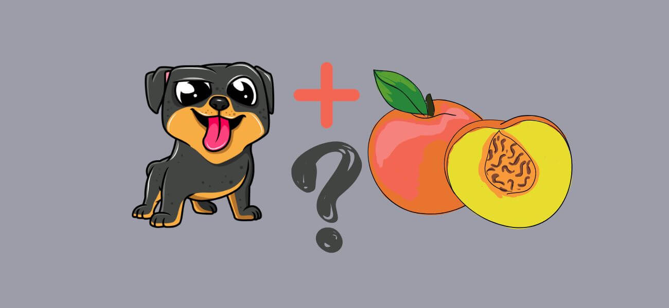 can a dog eat peaches