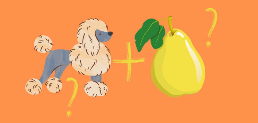 can dogs eat pears