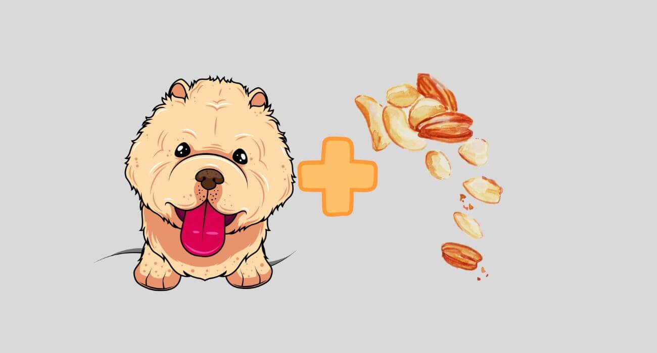 Can Dogs Eat Pecans? Benefits and Dangers PetsTime
