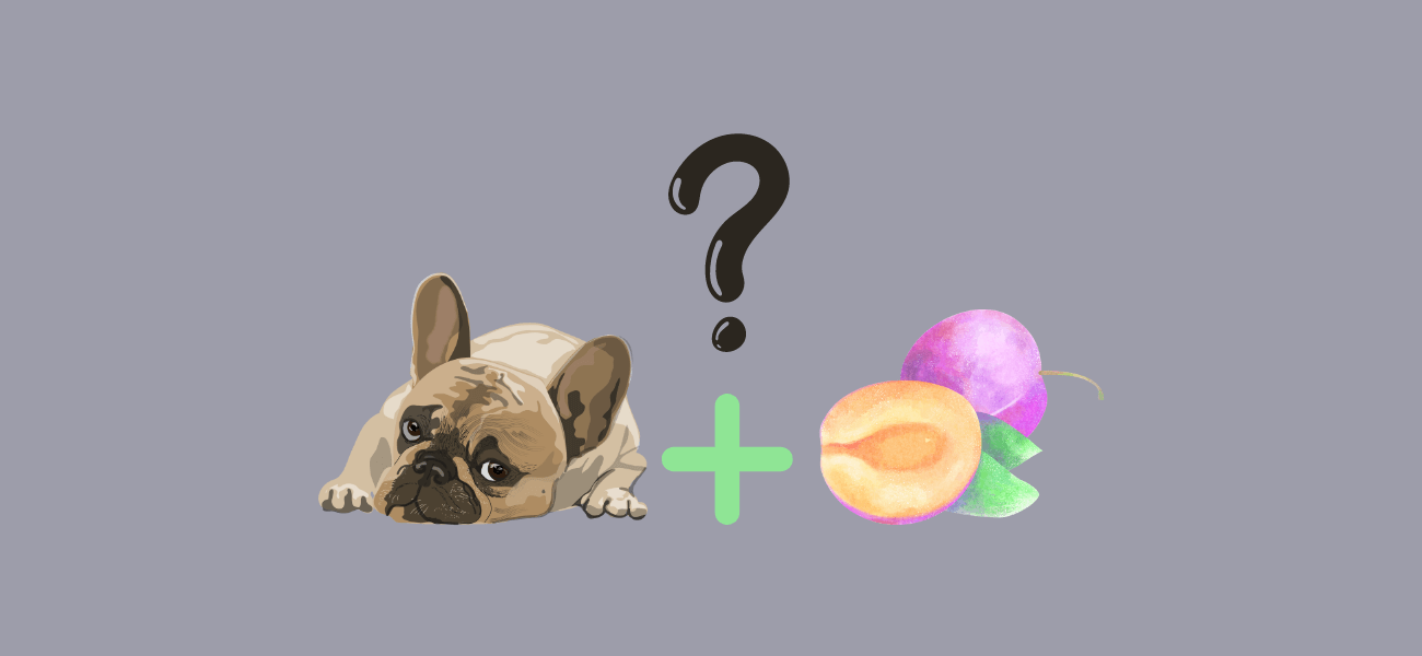 Are Dried Plums Bad For Dogs