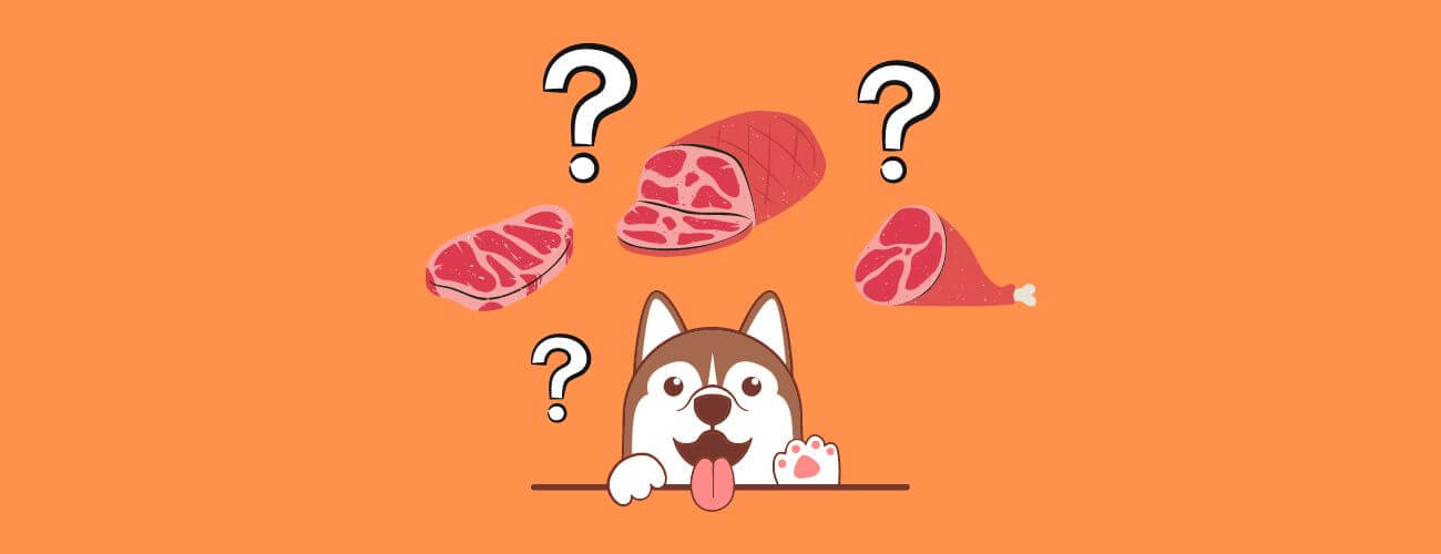 can-dogs-eat-raw-meat-raw-food-dogs-petstime