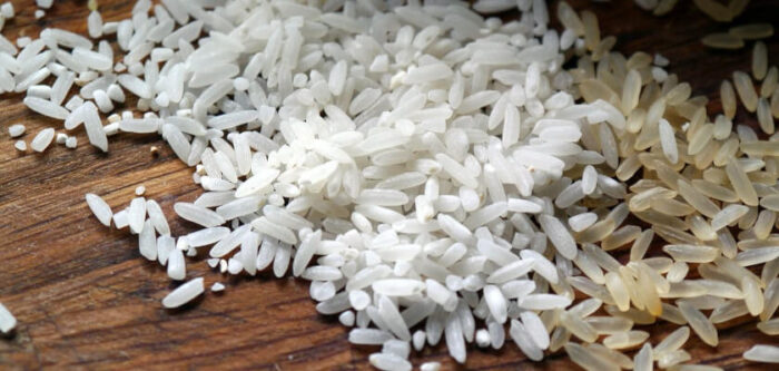 Can Dogs Eat Rice? Is Brown Rice Safe for Dogs? - PetsTime