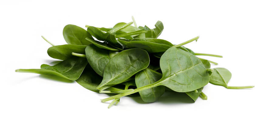 can dogs eat spinach