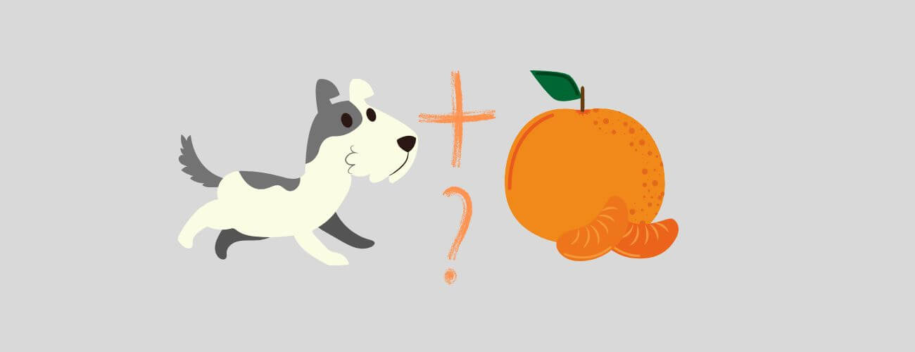 Can Dogs Eat Tangerines and Mandarines? ? PetsTime