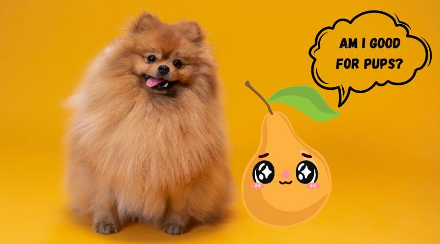how to safely feed your dog pears