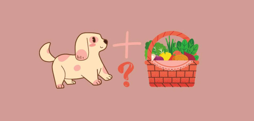 what vegetables can dogs eat