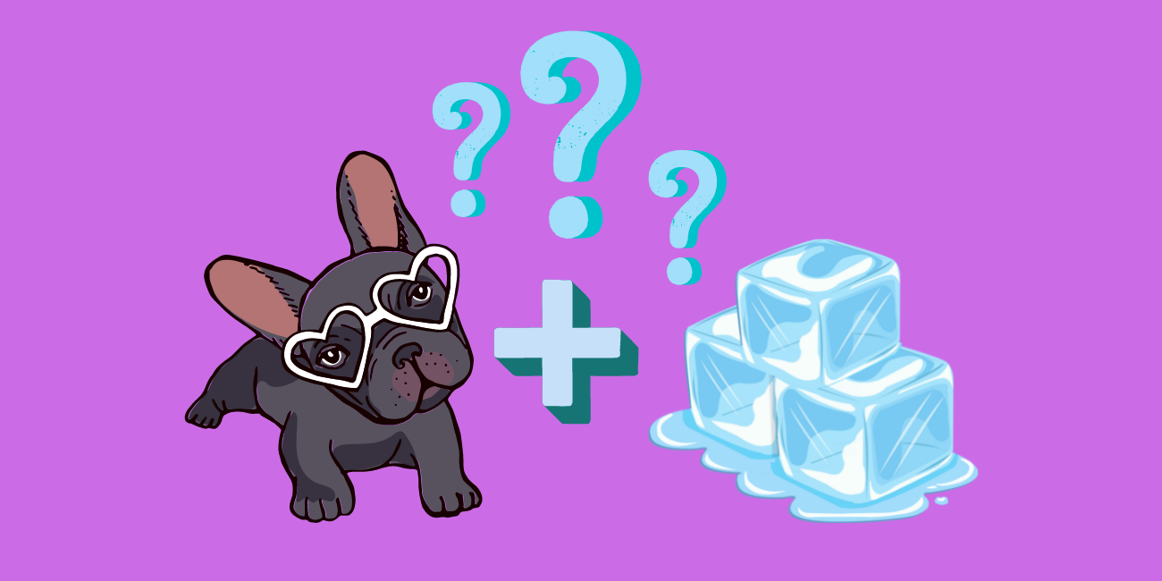 Can Dogs Eat Ice? Are Ice Cubes Bad for Dogs? PetsTime