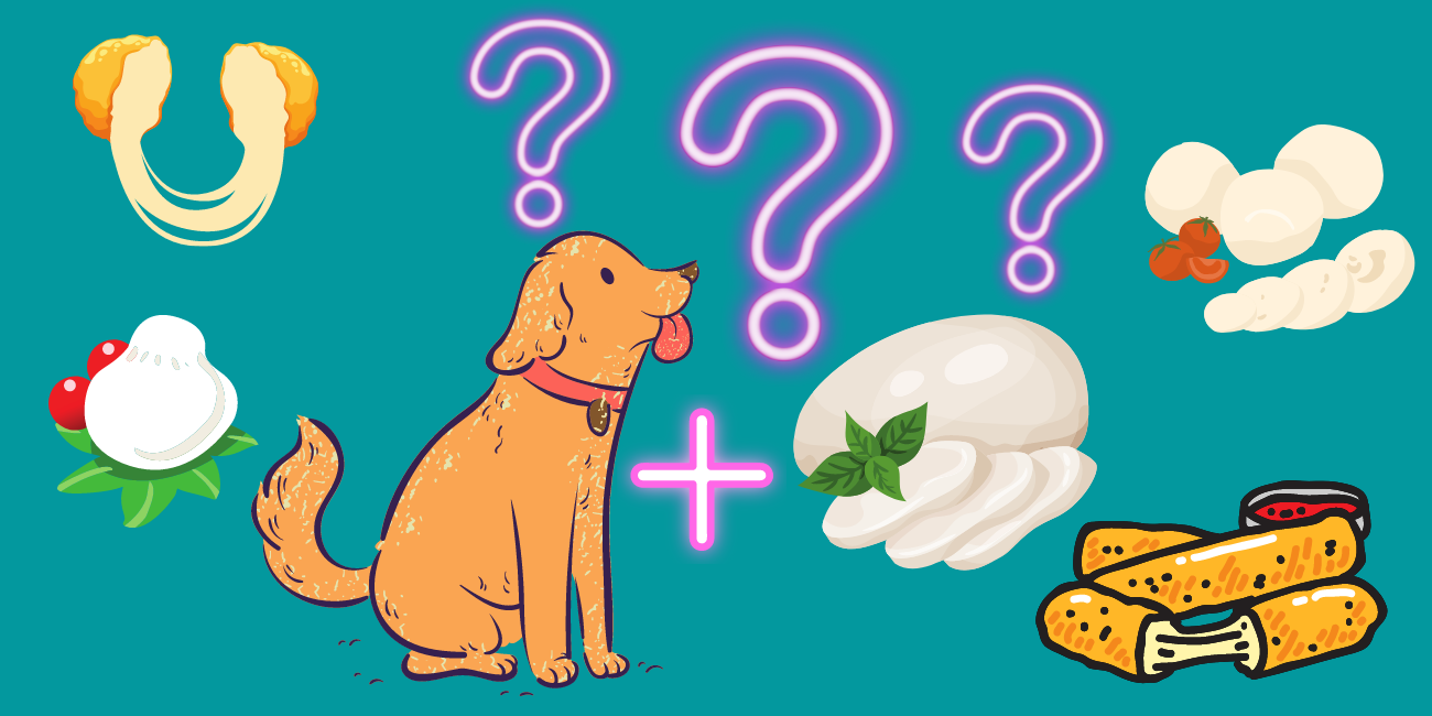 what happens if a dog eat mozzarella cheese