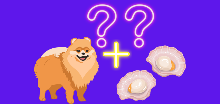 Can dogs eat scallops