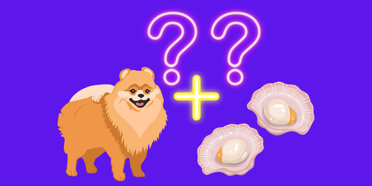 Can Dogs Eat Scallops? Be Careful with Seafood - PetsTime