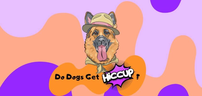 Do Dogs Get Hiccups