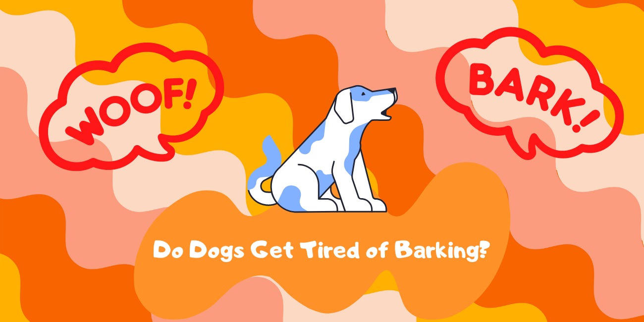 Do Dogs Get Tired of Barking? 8 Questions Answered - PetsTime