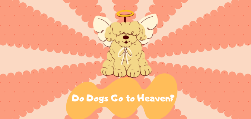 Do Dogs Go to Heaven