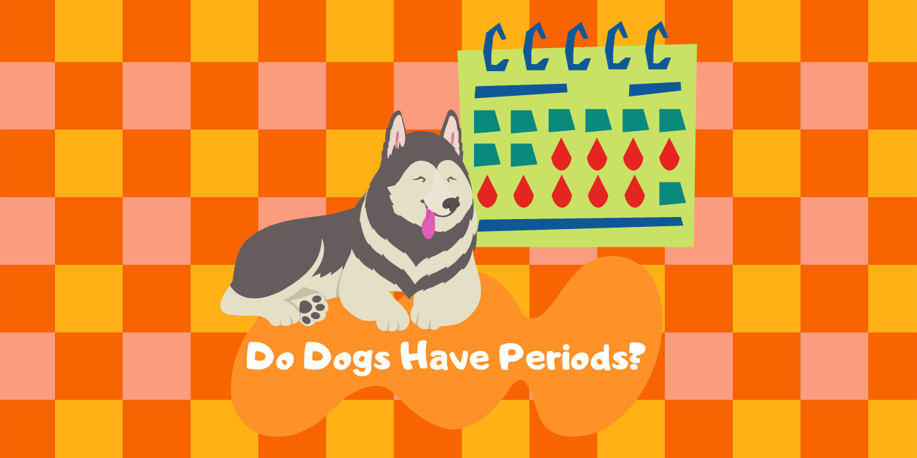 do-dogs-have-periods-female-dogs-heat-cycle-petstime