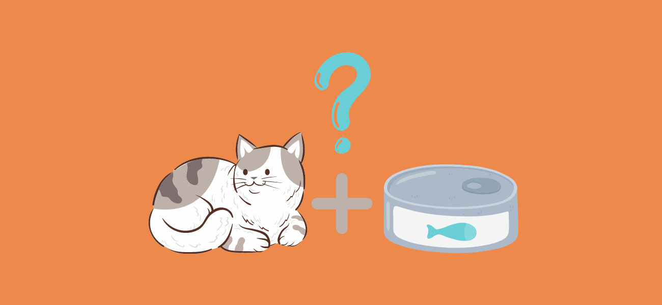 can-cats-eat-canned-tuna-is-it-safe-for-cats-petstime