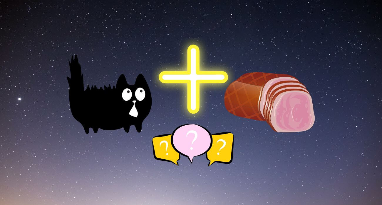 Can Cats Eat Ham? Is Ham Good for Cats? PetsTime