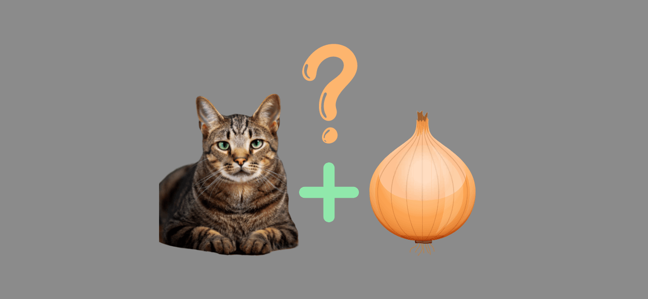 Cats hotsell eat onions