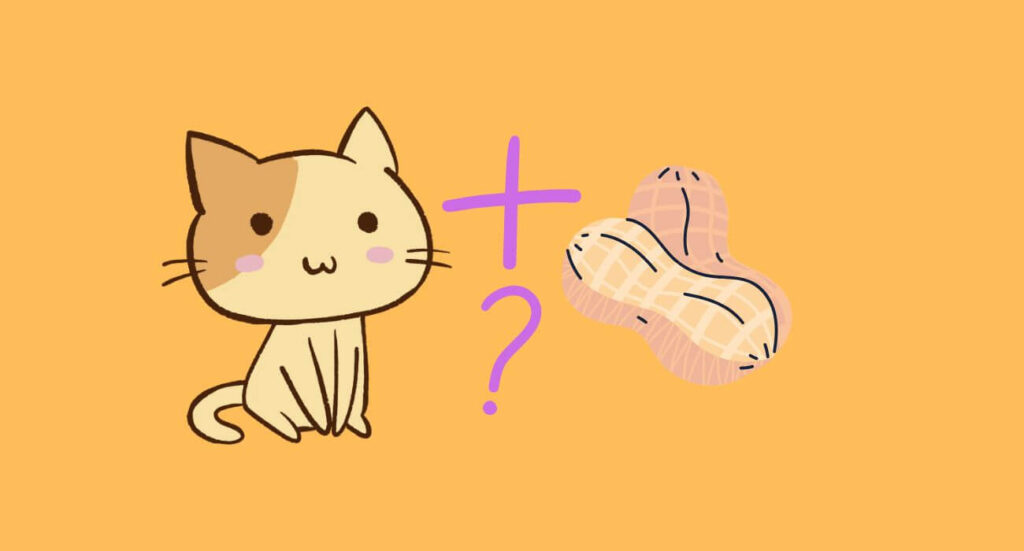 Can Cats Eat Peanuts?? PetsTime