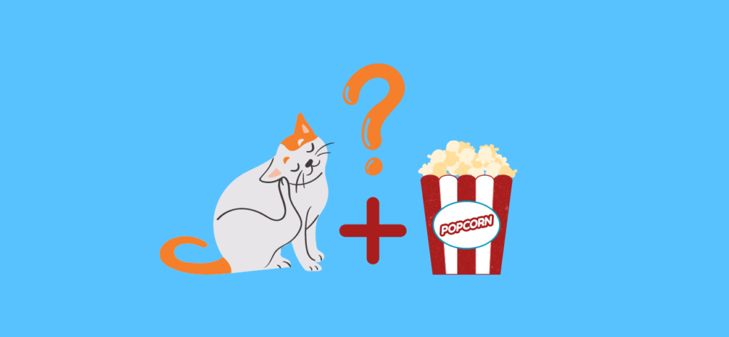 Popcorn Cat Can Cats Eat Popcorn? - PetsTime