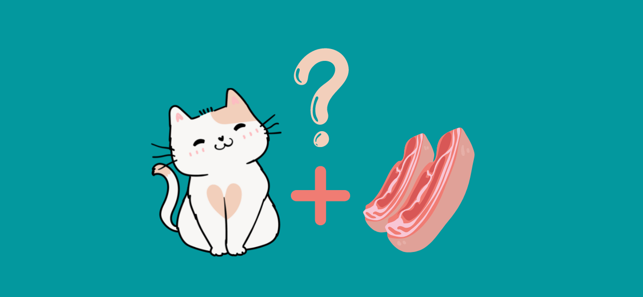 Can Cats Eat Pork? Types Bad for Cats PetsTime